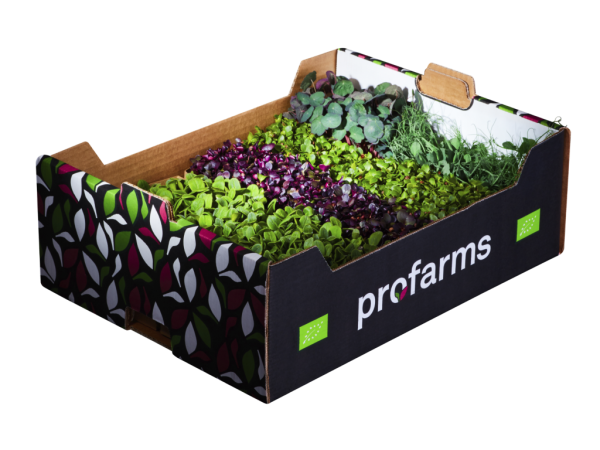 Microgreens (Sprossen), verschiedene Sorten - 1 Tasse