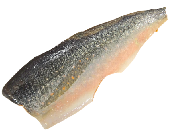 Steirischer Bachsaibling-Filets (51,90/kg)