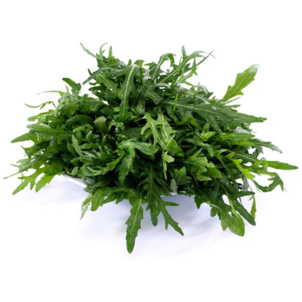 Bio Rucola (Tasse)