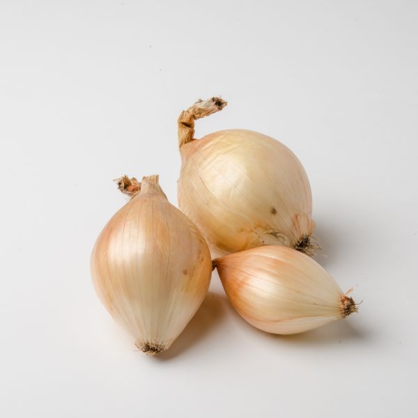 Bio Frühzwiebel gelb - neue Ernte!