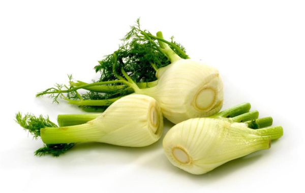 Bio Fenchel