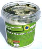 Ziegentöpfchen Kräuter demeter NEU!