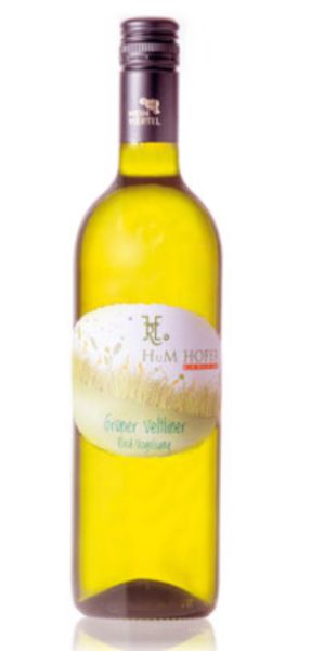 Bio Weinviertel DAC Grüner Veltliner Ried Vogelsang 2023