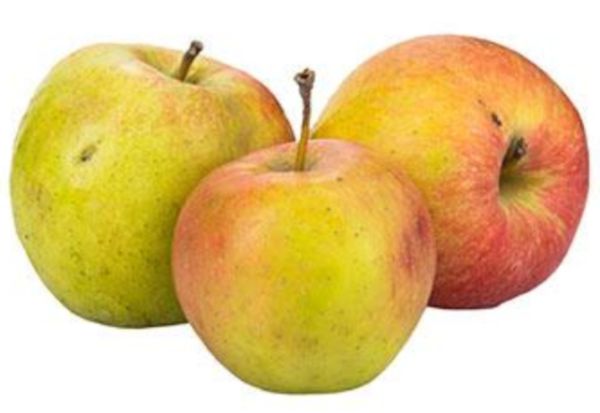 Bio Apfel - Wellant (neue Ernte)