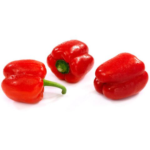 Bio Paprika rot, 1 Stück