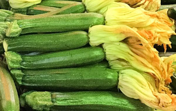 Bio Gourmet-Zucchini (sehr klein, mit Blüte, Tasse 300g)