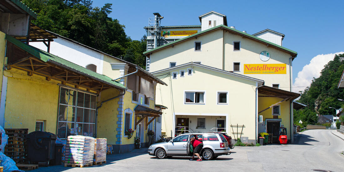 Sch-alm-uhle_Nestelberger