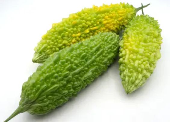 Bittergurke (Bittermelone)