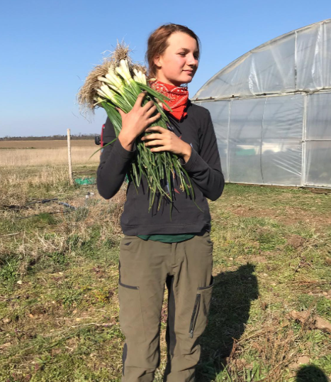 Bio Jungzwiebeln Bund - jetzt neu!