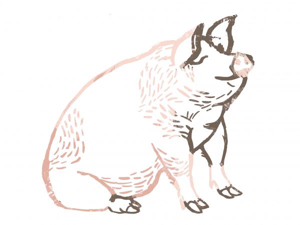 Schweins-Schulter ausgelöst (22,30/kg) =500g