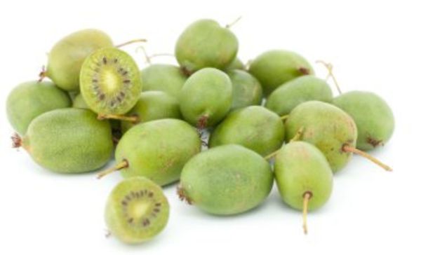 Weinviertler Bio Mini-Kiwis