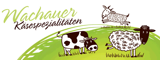 Biok-aserei-Roland-Berger-logo