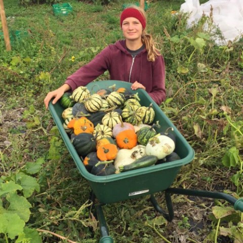 Gem-useanbau-im-Gem-usehof-Artenvielfalt-2-Klein