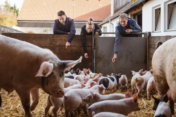 H-ollerschmidt-Fleischerei