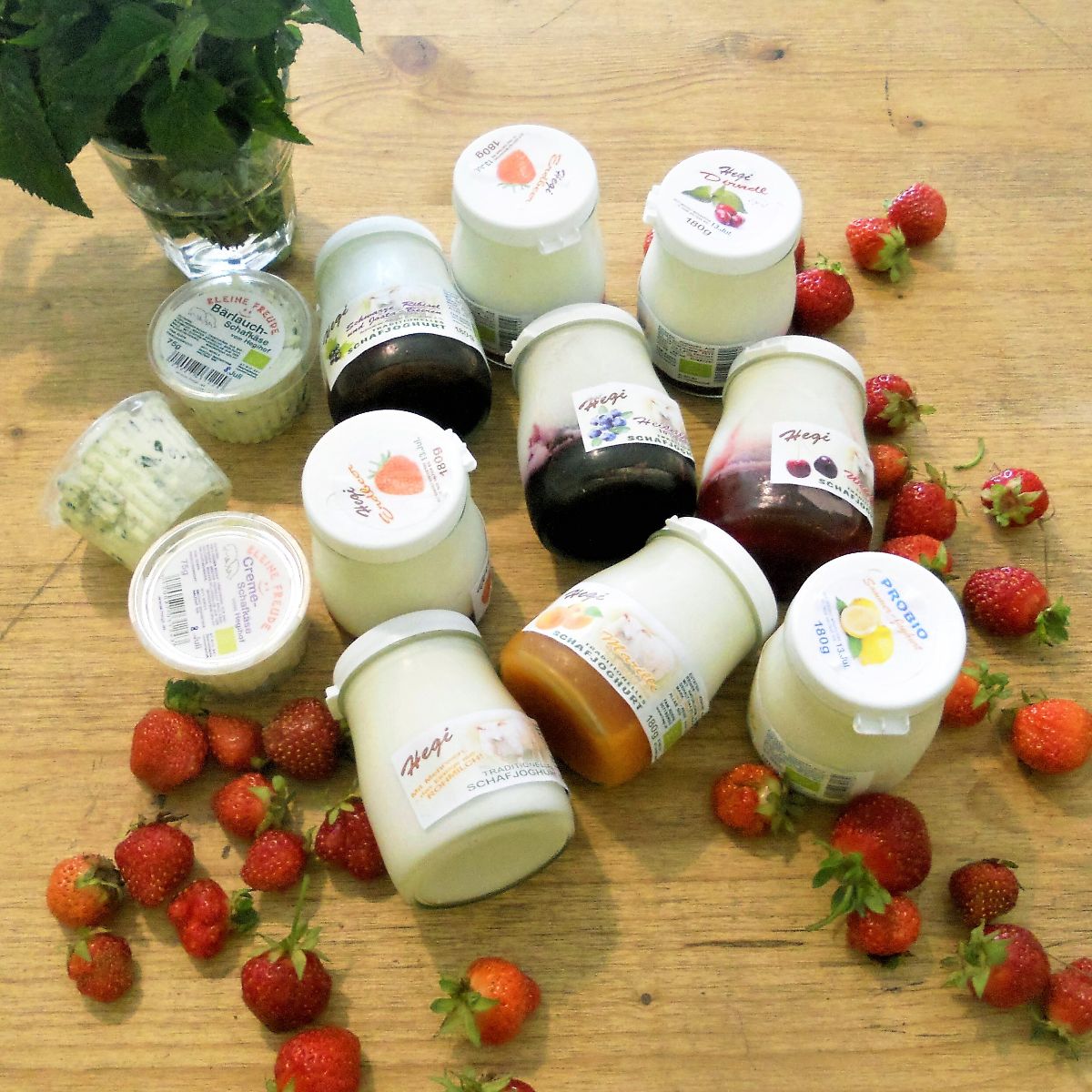 Hegi-produkteWMHMyF3BdeozO