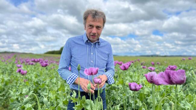 Karl-Ringl-Waldviertler-Biohof