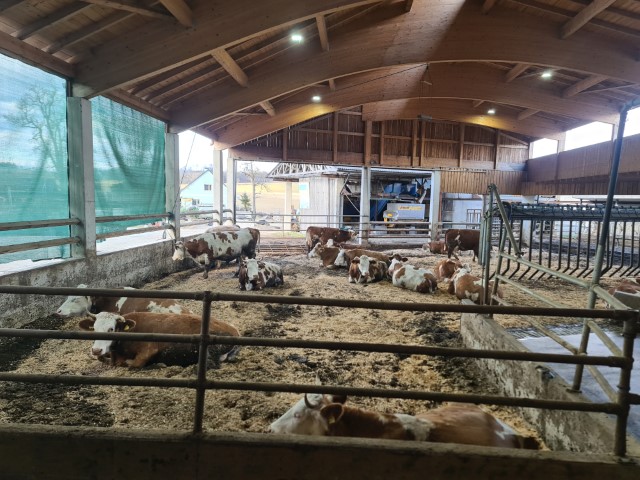 Kompostierstall-Familie-Kurz-Klein