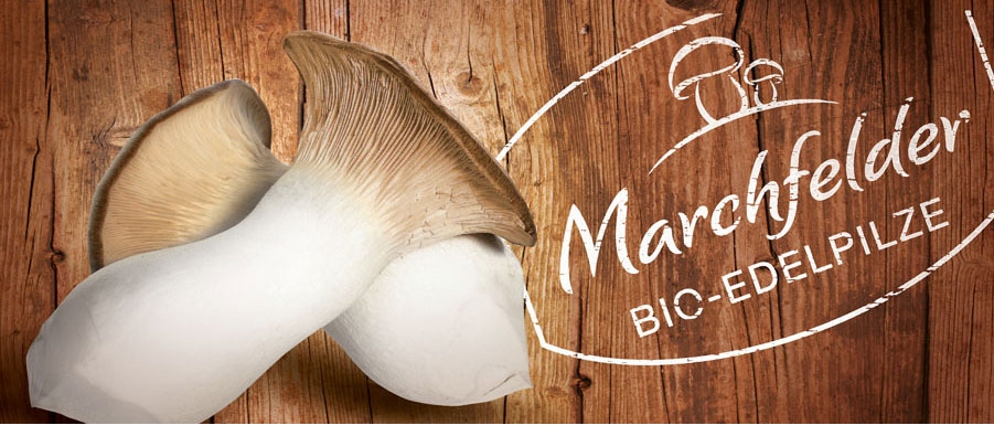 Marchfelder-Edelpilze
