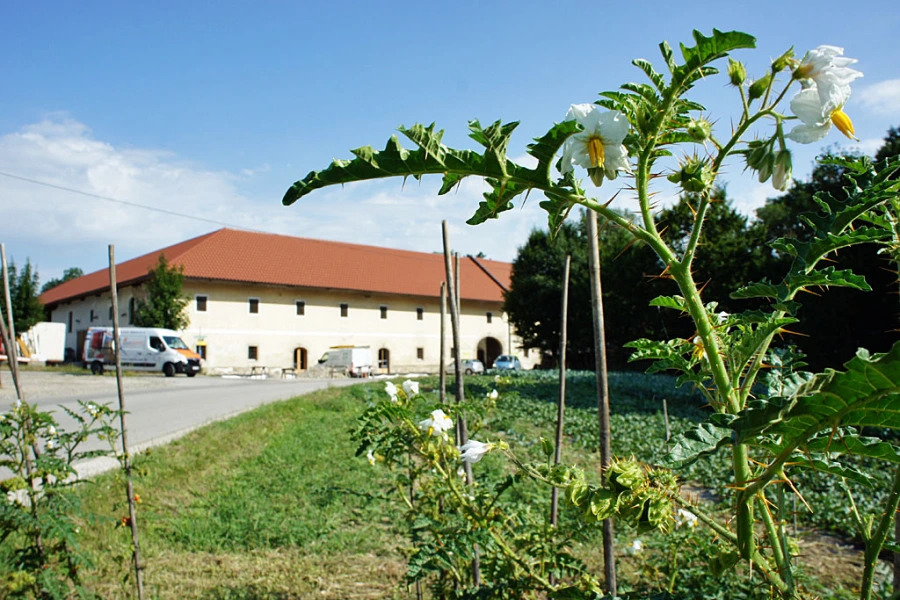 Nachbars-Garten-Geb-aude