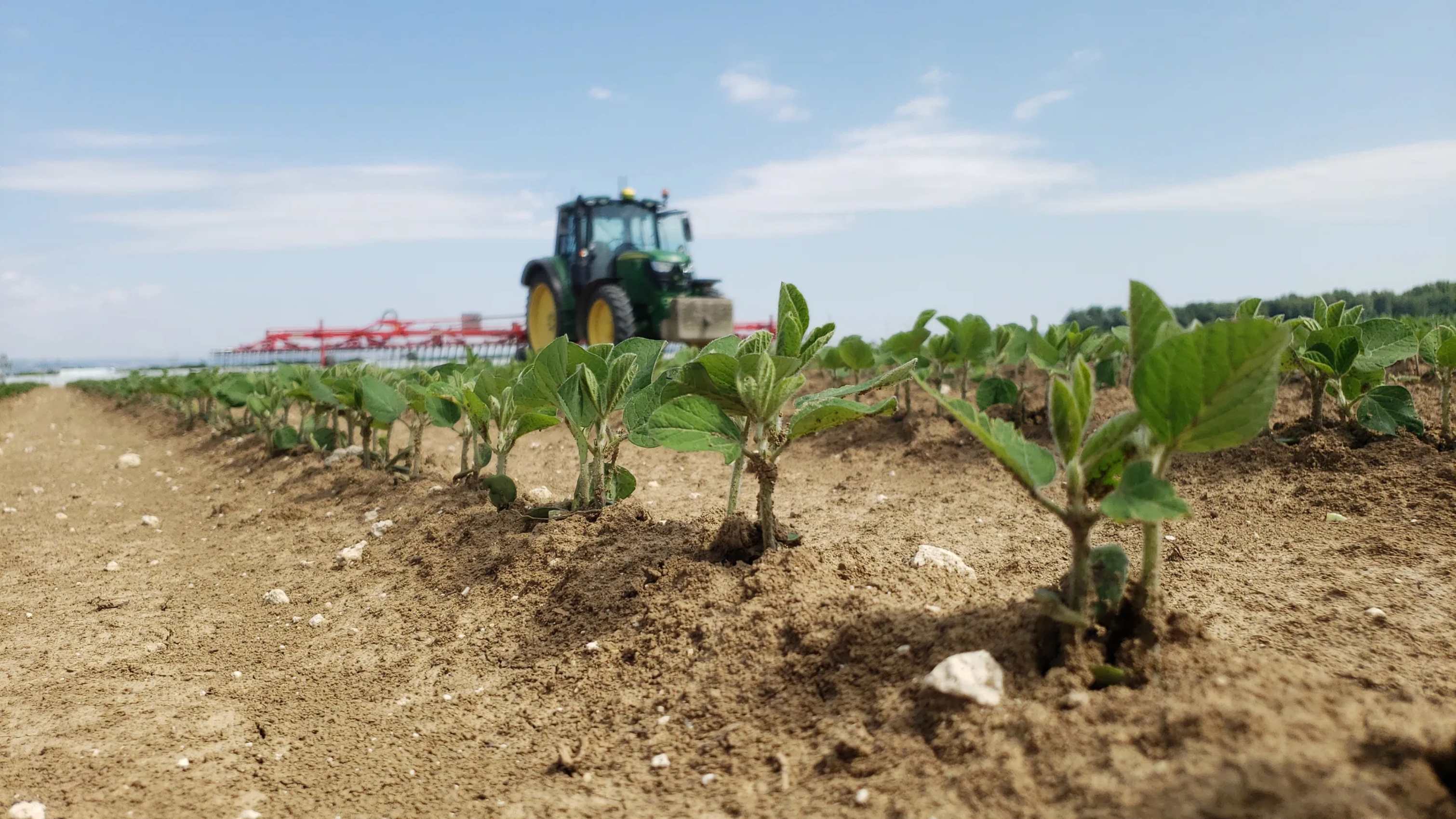 Soja-Anbau-Biohof-Biohof-Petschko-Eibel