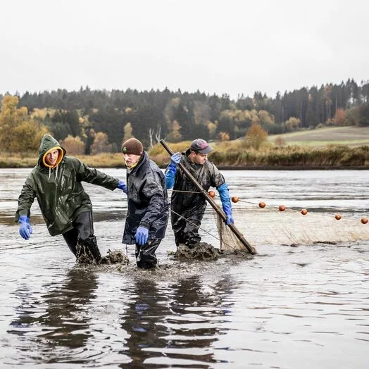 Teichrirtschaft-Gut-Ottenstein