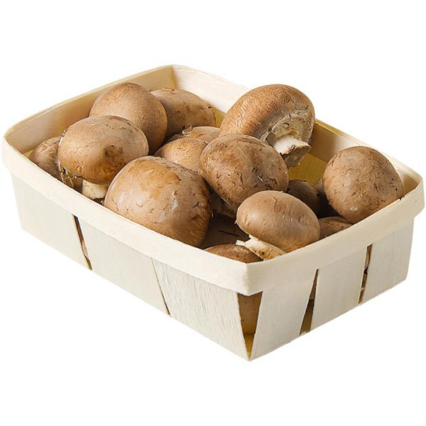 Bio Champignon, braun