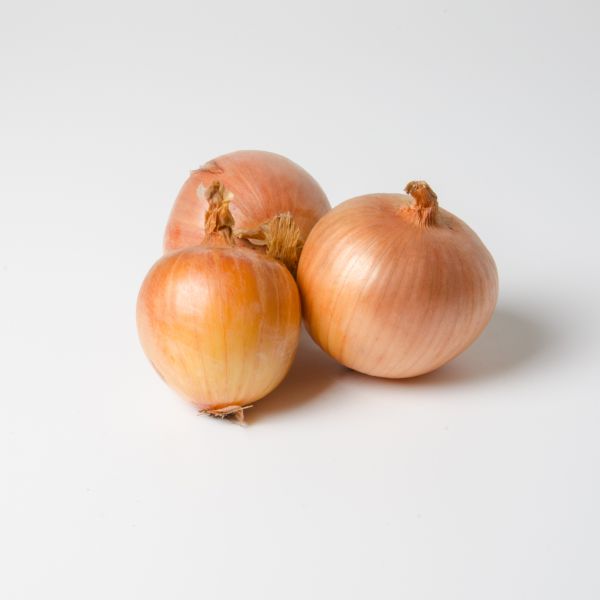 Broschek Bio Zwiebel gelb
