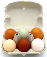 Eier naturbunt. demeter (6 Stk)