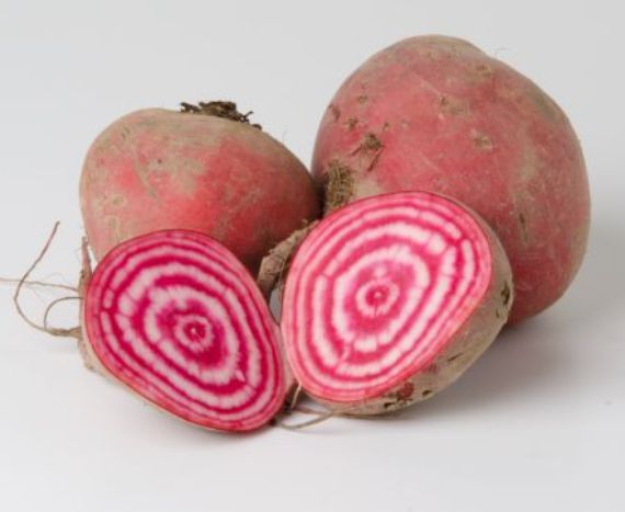 Bio Rote Rüben "Chioggia" (rosa-weiß gestreift)