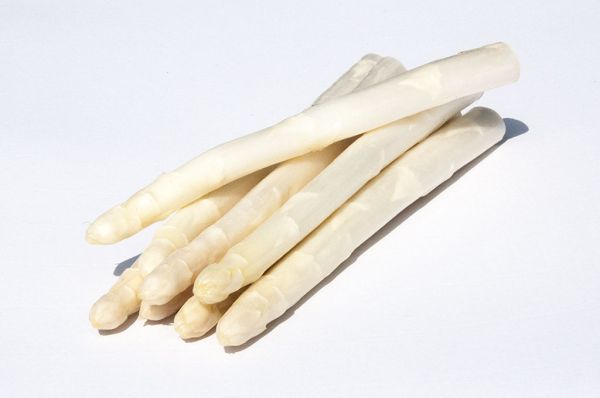Bio Spargel Classic weiß
