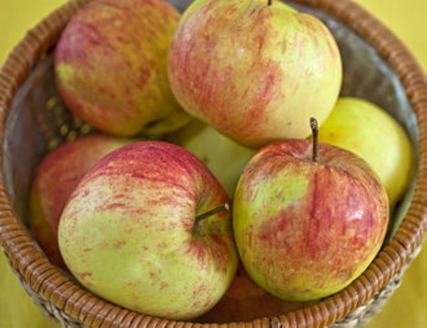 Bio Apfel - James Grieve