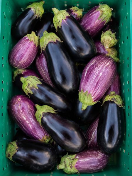 Bio Melanzani