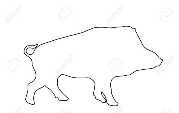Wildschwein - Schulter (33€/ kg) - auf Vorbestellung