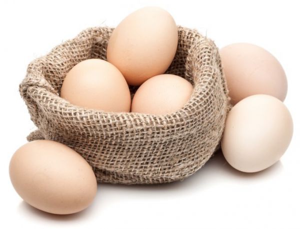 Bio Eier (10 Stk)