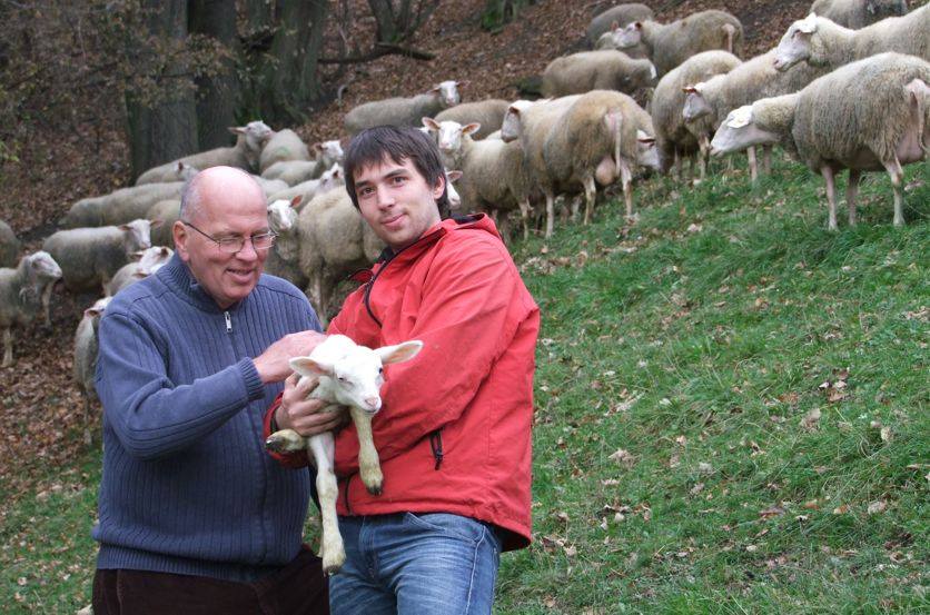 die-rezepas-mit-schafen