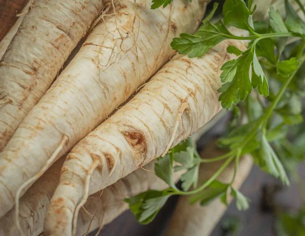 Bio Petersilienwurzel