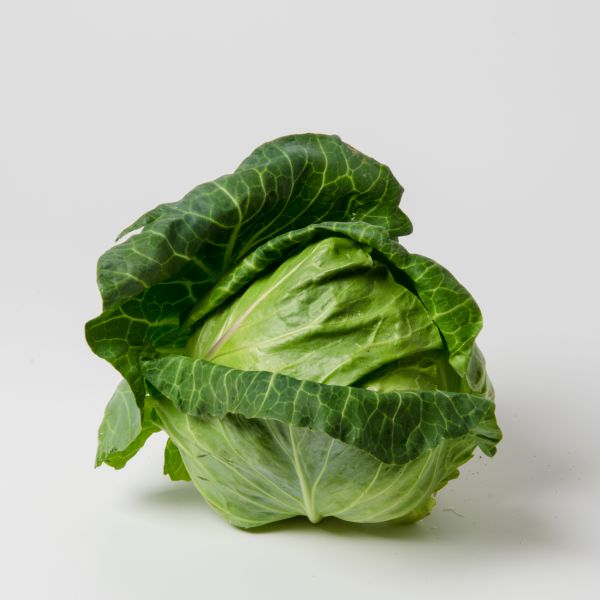 Bio Frühkraut (3,70/kg) - Neu!