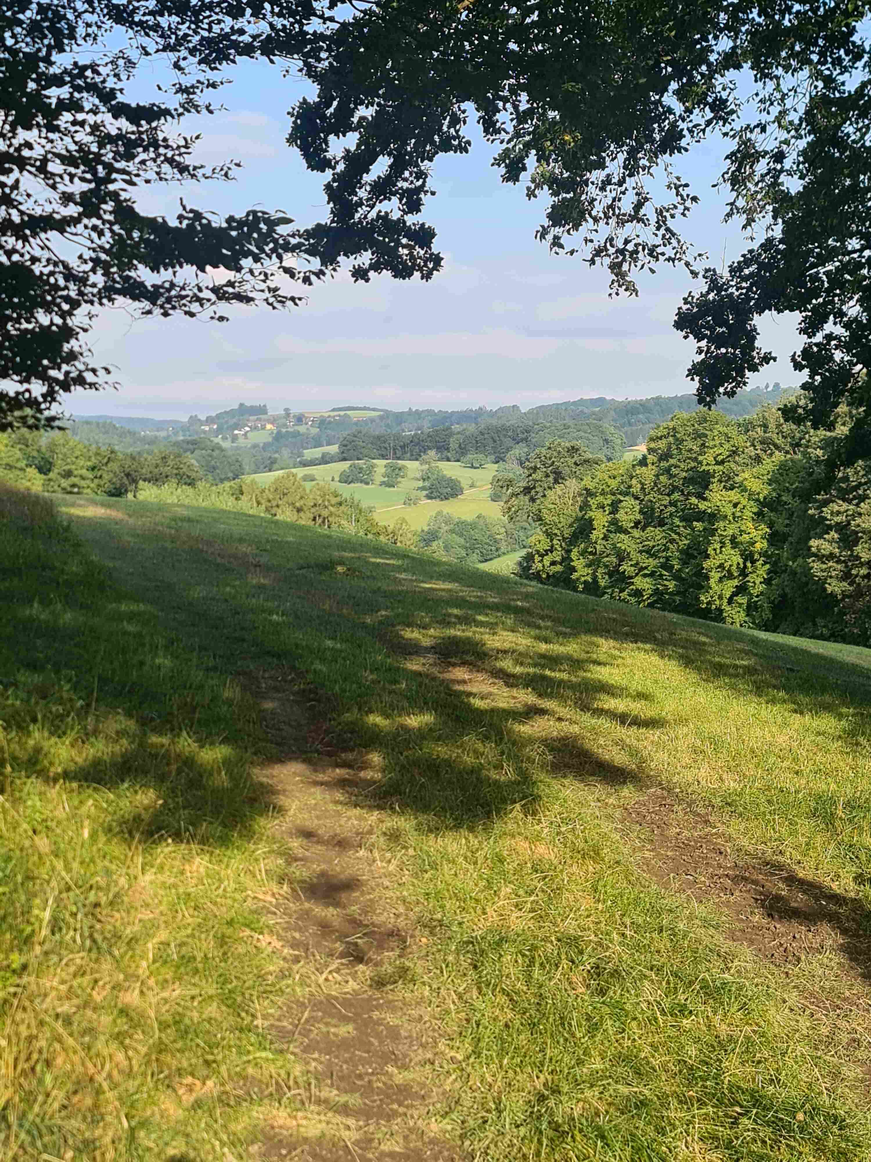essenswert_wiesenwienerwald_ausflug-2