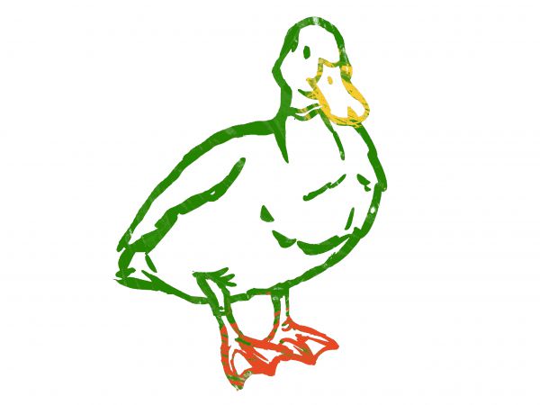 Bio Enten Keulen (36€/kg) für Freitag, den 18.04