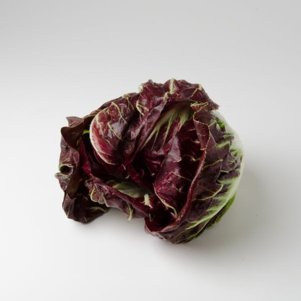 Bio Radicchio -) NEU!