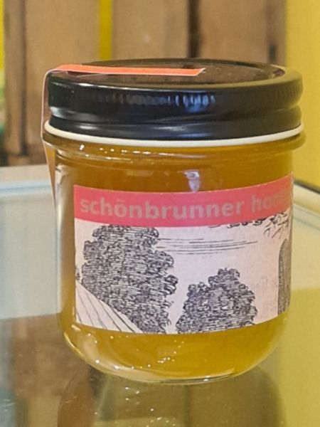Schönbrunner Sommerhonig (Lindenbetont!)