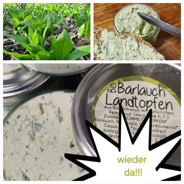 Bärlauchtopfen - aus muttergebundenen Kälber Aufzucht