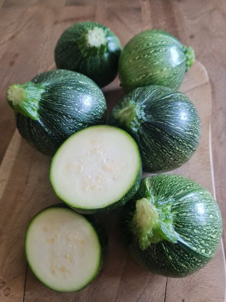 Bio Zapallitos - seltene südamerikanische Sommerkürbisse