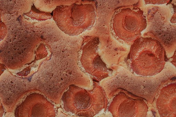Suchtkuchen mit Marille