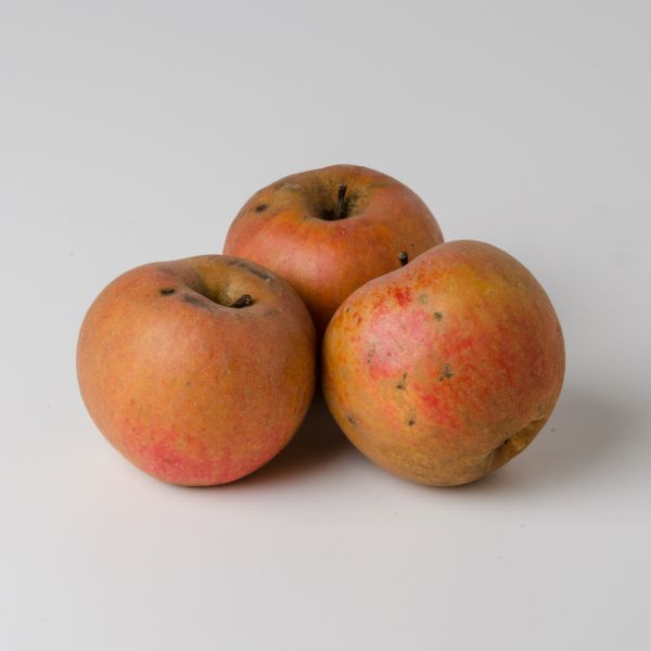 Äpfel "Boskop" (Lederapfel) Bio