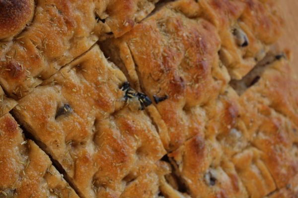 Oliven-Focaccia Bio