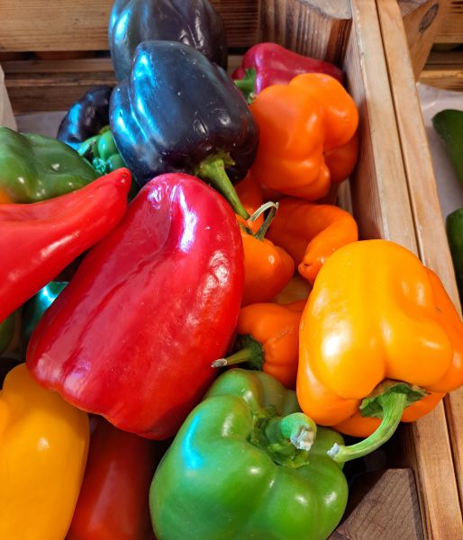 Paprika gemischt