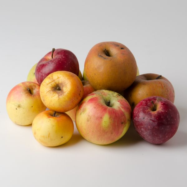 Apfel Mix "alte Sorten", Demeter