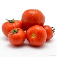 Tomaten Tomaten