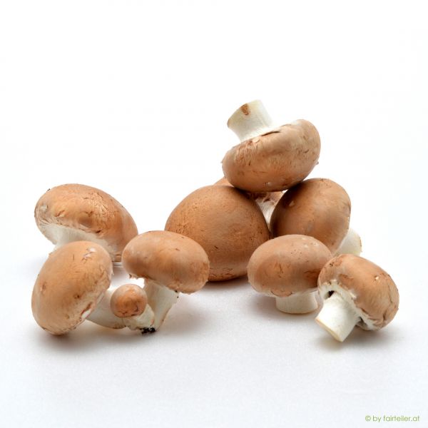 Champignons Bio Crema